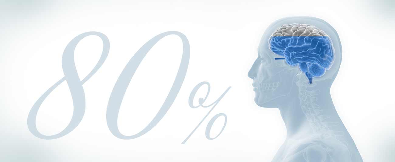 La Gioia Wasser im Gehirn 80%
