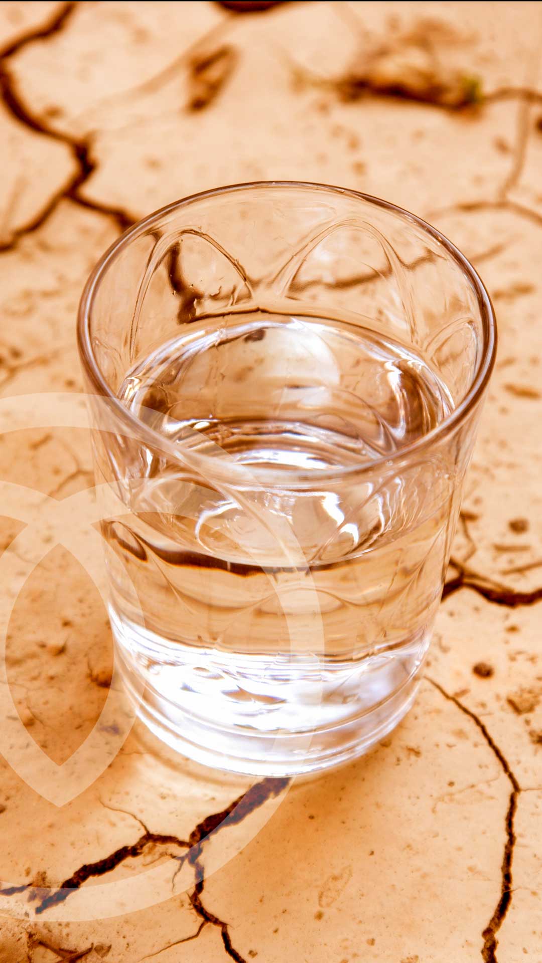 La Gioia Dehydration