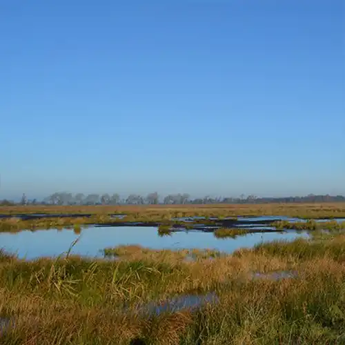 Königsmoor Schleswig-Holstein ©Moor Futures