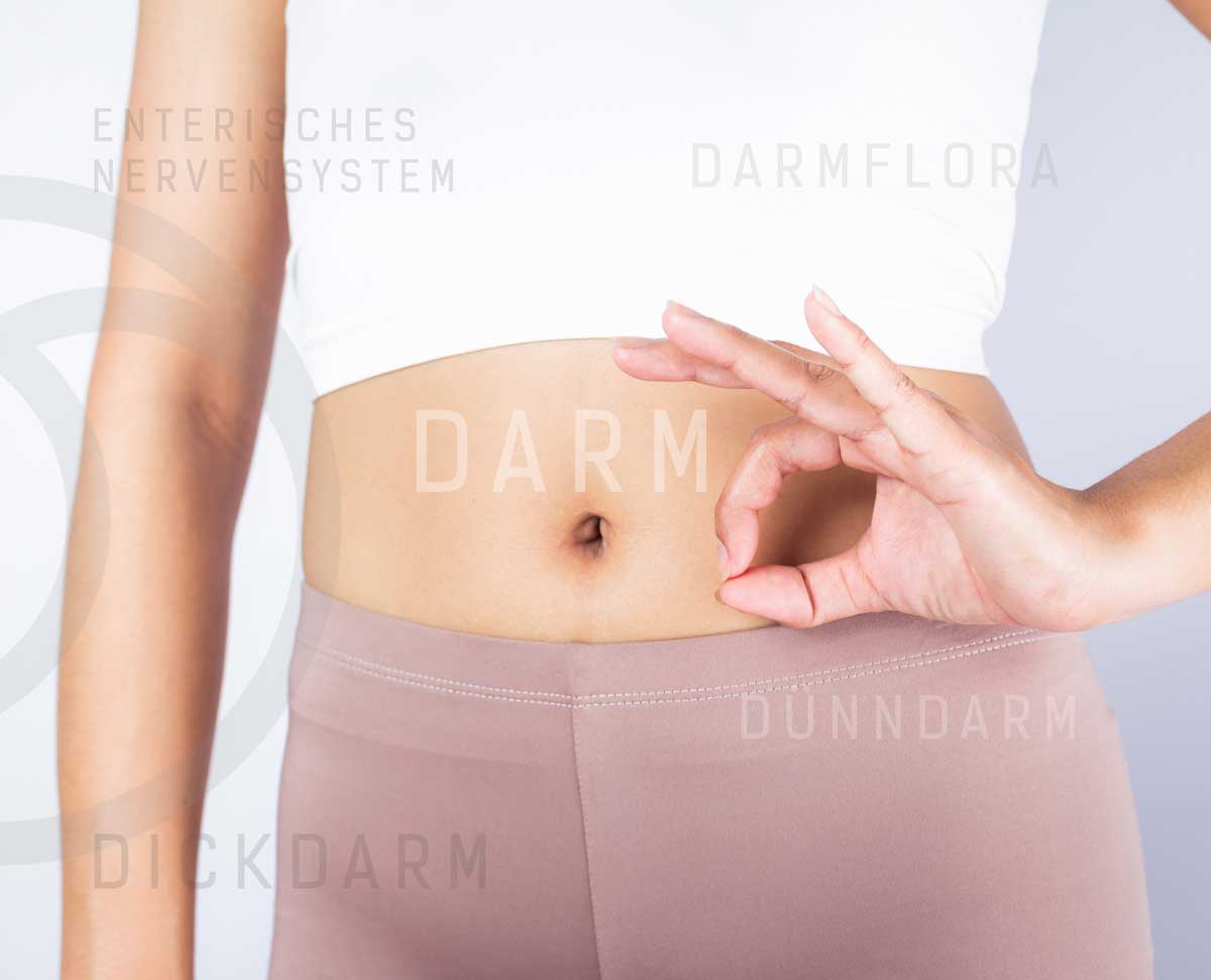 Featured image for “Phänomen Darm”