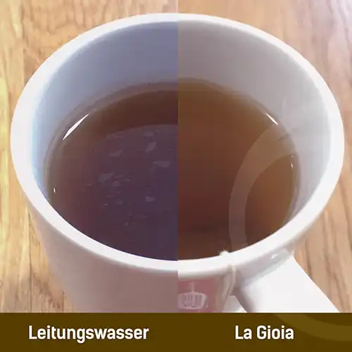 LaGioia vs. Leitungswasser